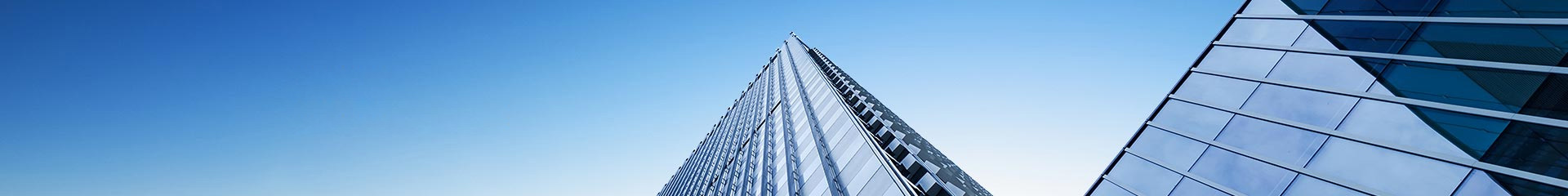 全價(jià)成年期犬糧-犬糧-濟(jì)南寶翠飼料有限公司官方網(wǎng)站